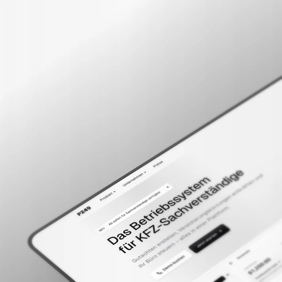 Website P249